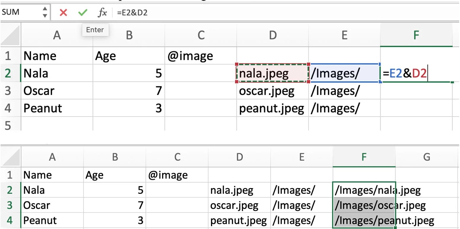 How to Use InDesign Data Merge for Text and Image Automation Be the Bean