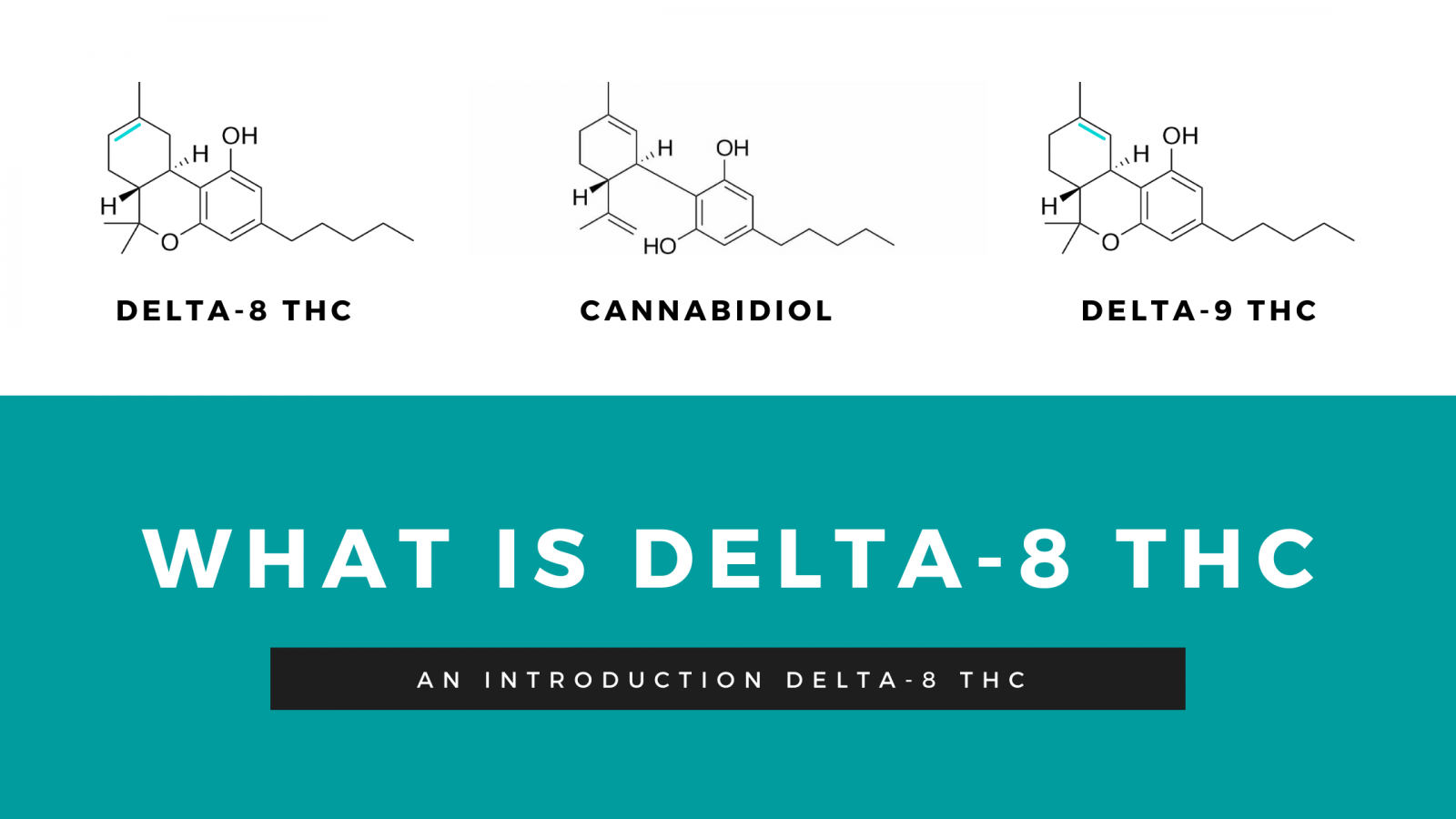 What is Delta8 THC BeTheHippy