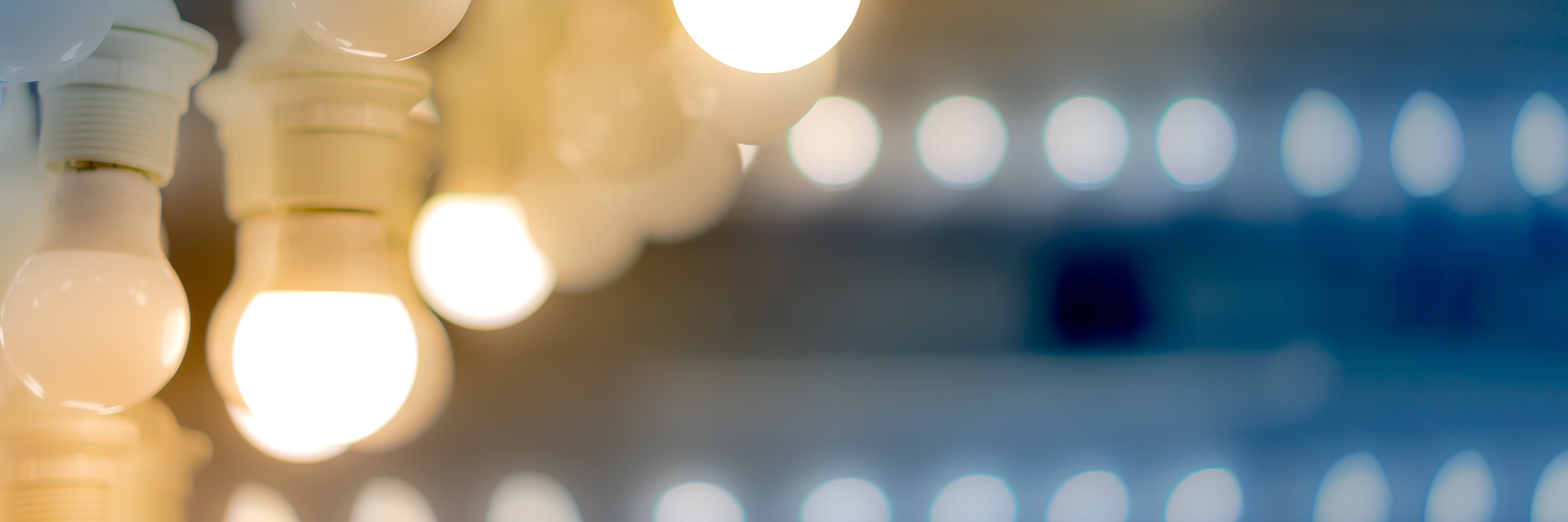 Apollo Lighting & Supply Beth Motta Design & Marketing