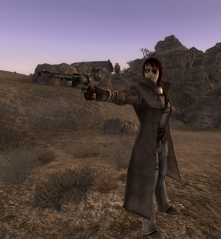 Sunglasses Collection NV — модификация для Fallout New
