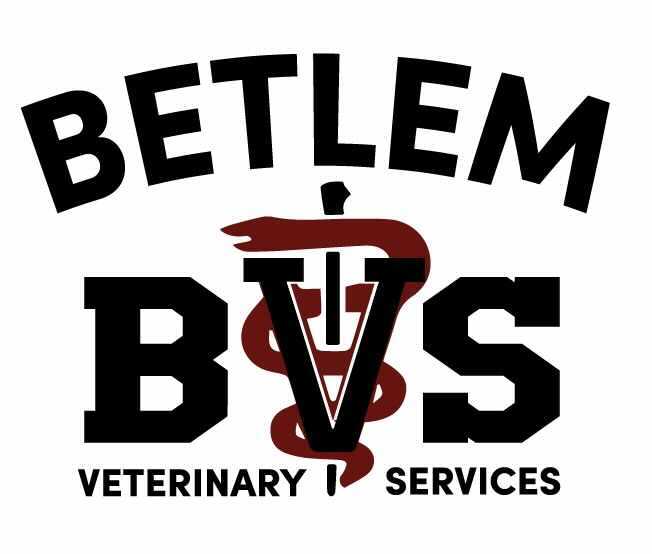 Home Betlem Veterinary Services Vet Care Oakdale PA Tri State Area