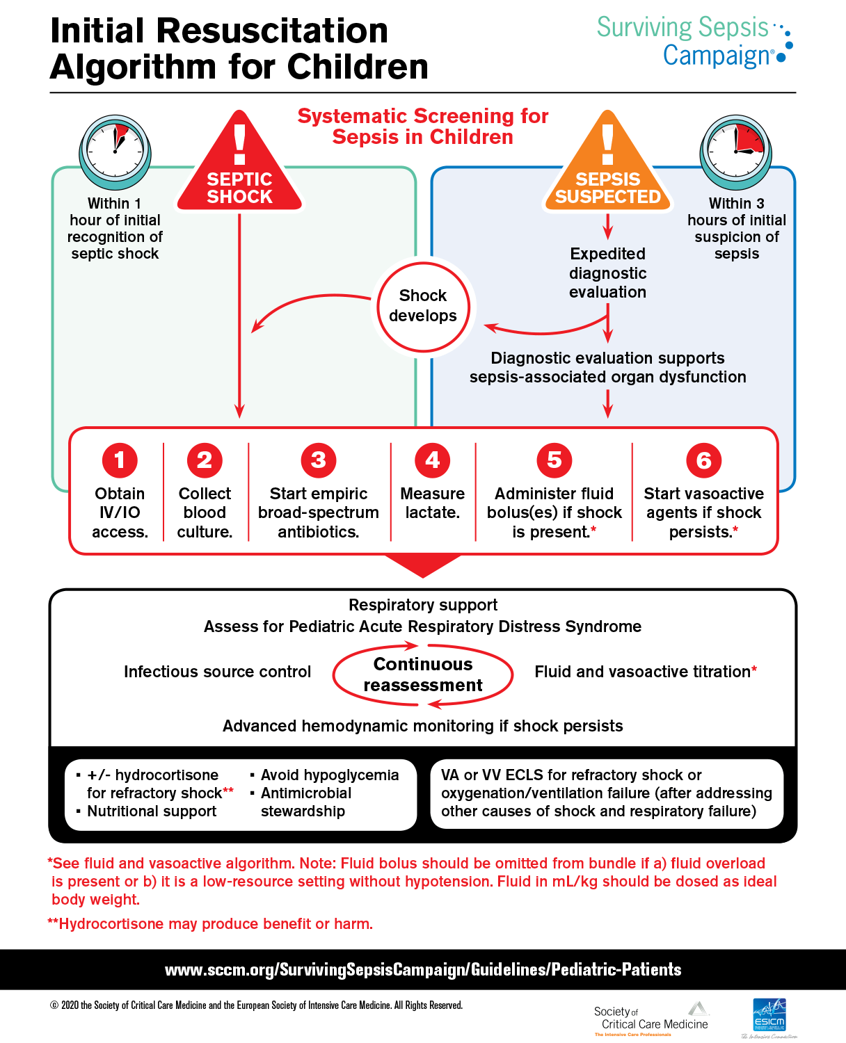 Sepsis Infographic