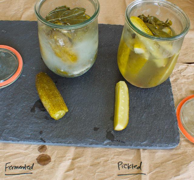 Fermented Pickles vs. Regular Pickled Pickles Betsylife