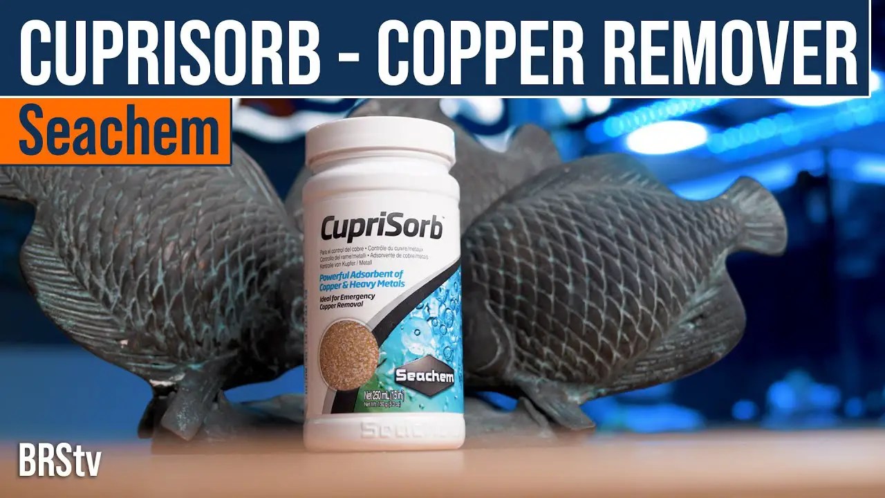 How To Remove Copper From Aquarium? Betta Fish World