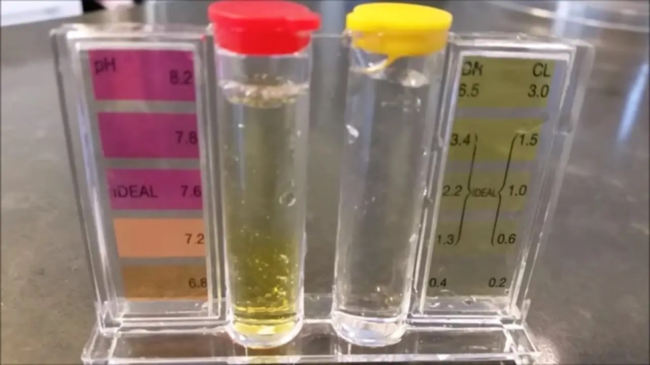 Is Rainwater Good For Aquarium? Betta Fish World