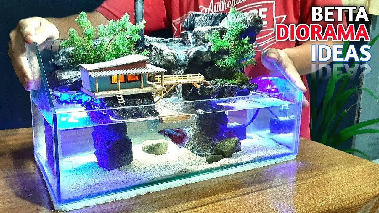 More Unique Betta Fish Tank Ideas To Inspire Your Creativity Betta