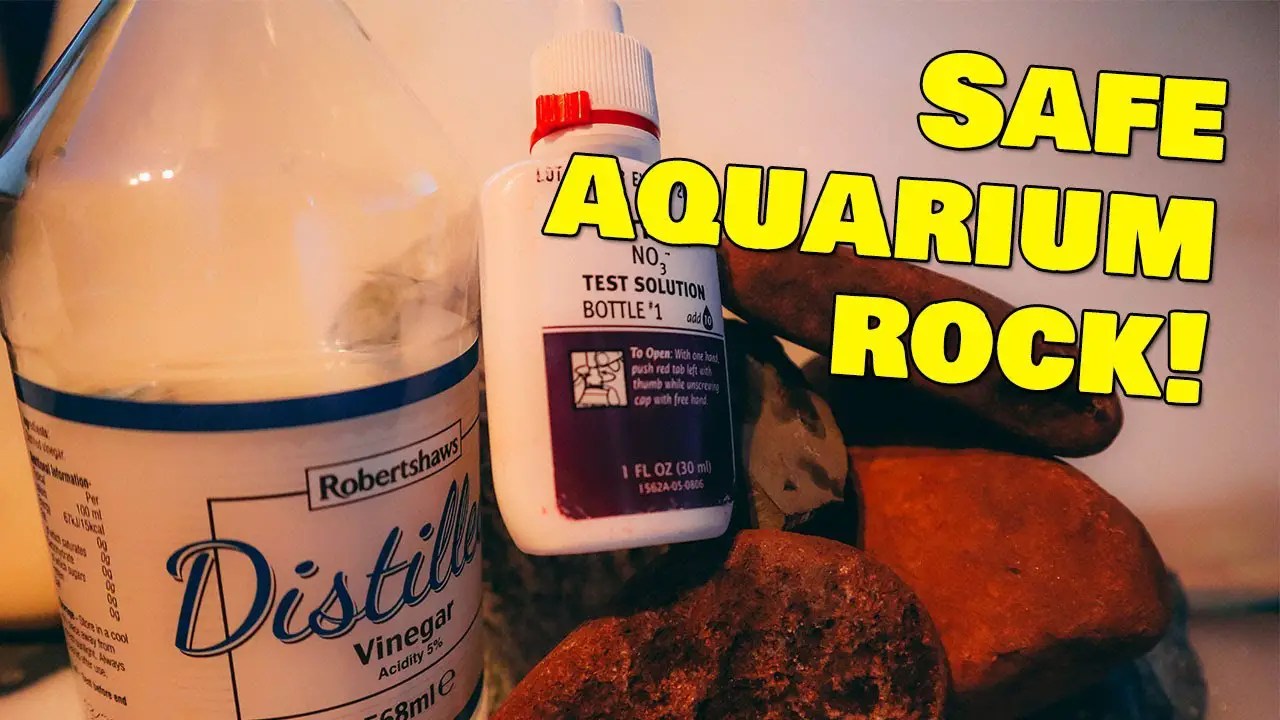 How To Test Rocks For Aquarium? Betta Fish World