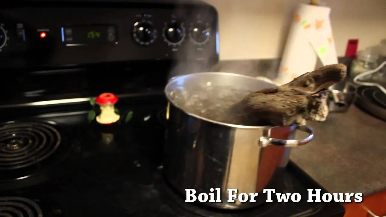 How To Boil Wood For Aquarium? Betta Fish World