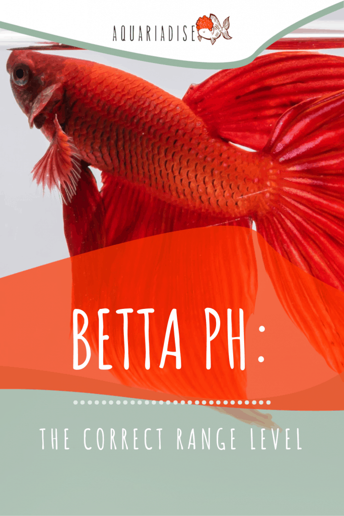 Betta pH The Correct Range Level Betta Source
