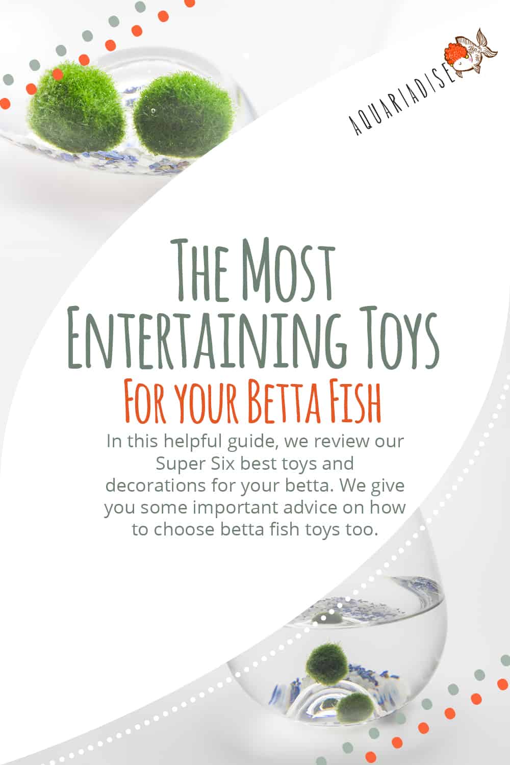 Toys That Bring Joy to Your Betta Fish's World