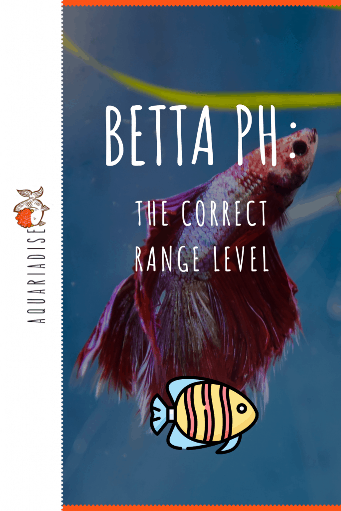Betta pH The Correct Range Level Betta Source