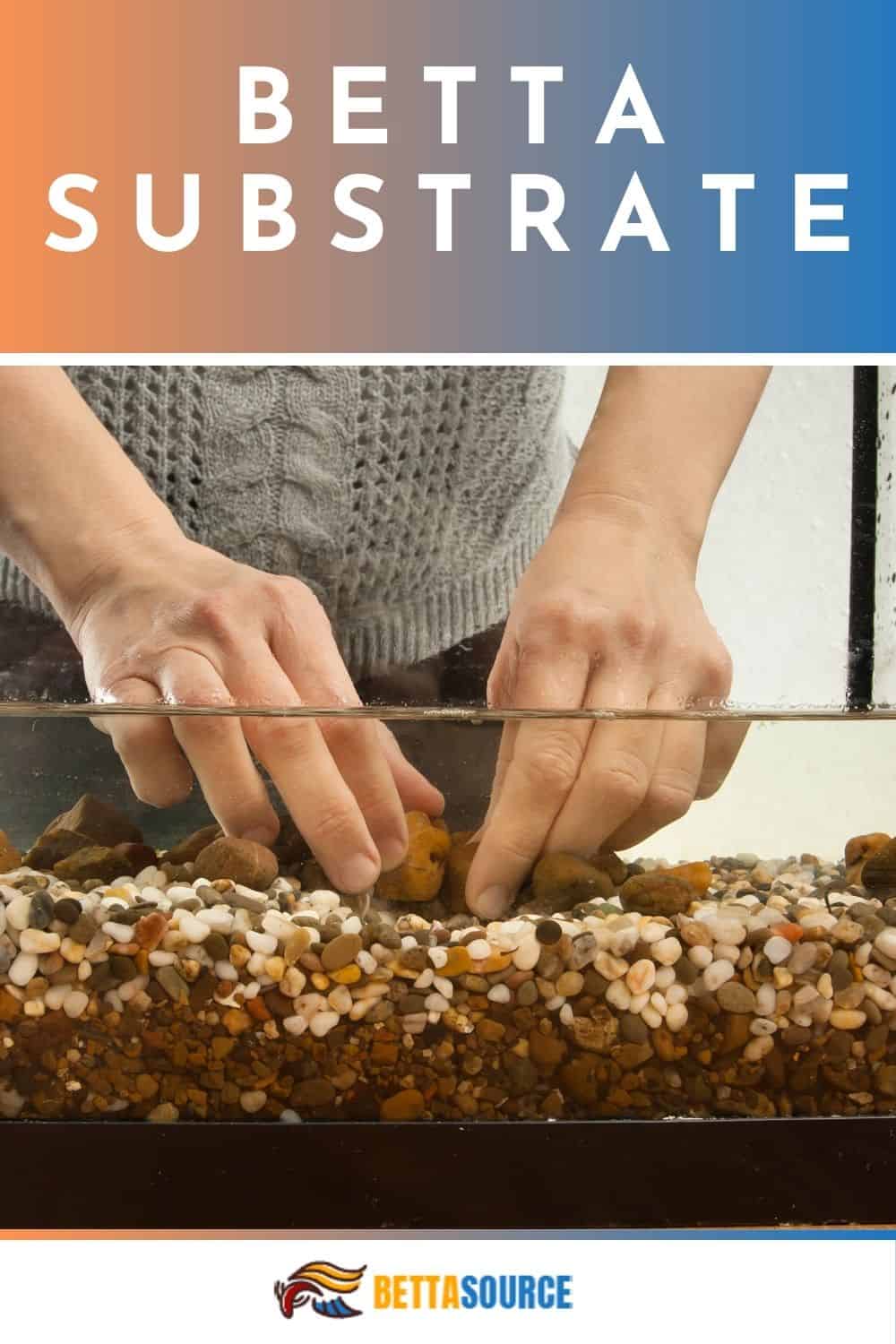 The Best Betta Substrate Available (Pros & Cons)