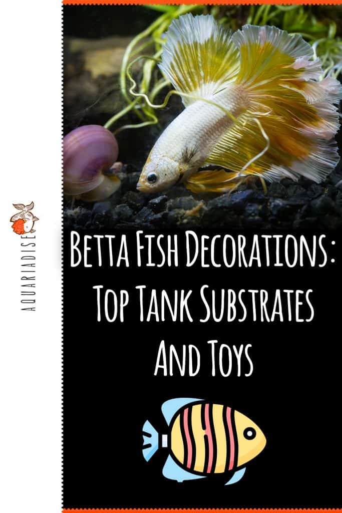 Betta Fish Decorations Top Tank Substrates And Toys Betta Source