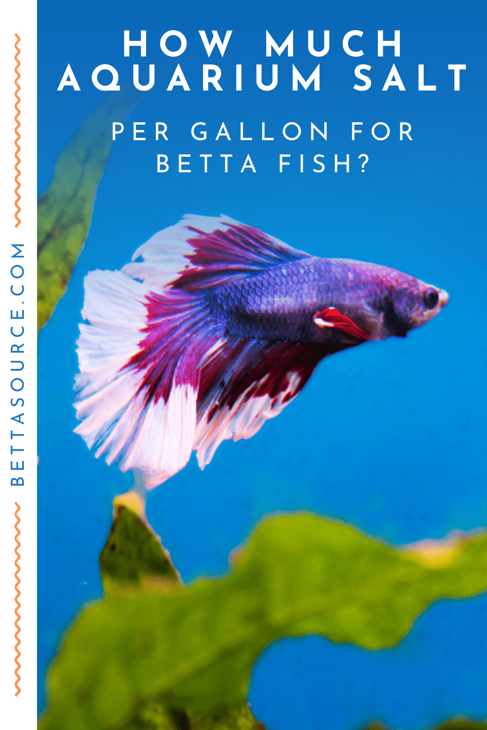Aquarium Salt for Betta Fish Health Benefits & Risks