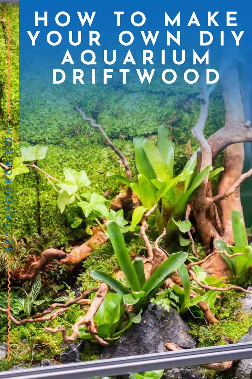 How To Make Your Own DIY Aquarium Driftwood For Your Fish