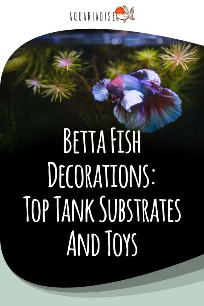 Betta Fish Decorations Top Tank Substrates And Toys Betta Source