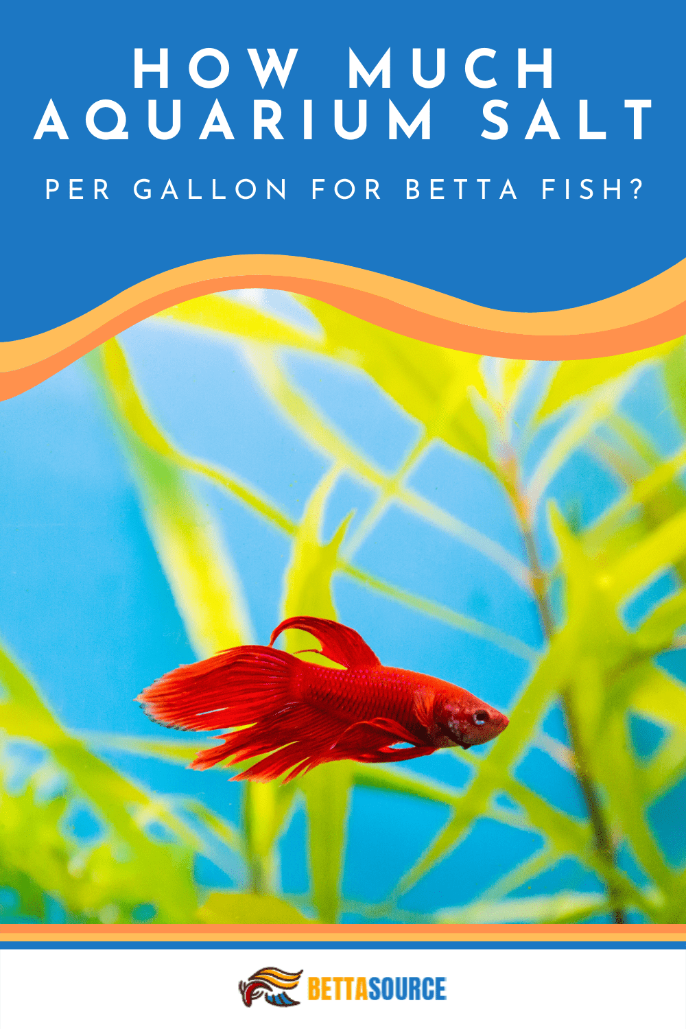 Aquarium Salt for Betta Fish Health Benefits & Risks