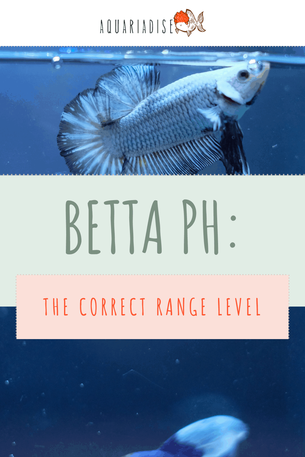 Betta pH The Correct Range Level Betta Source