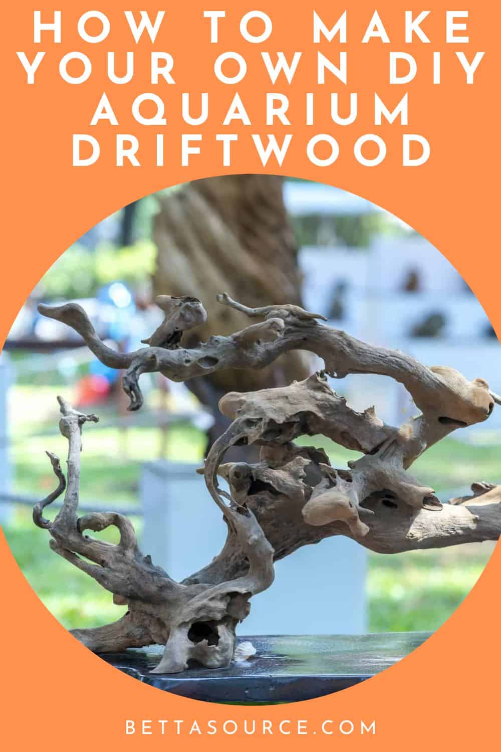 How To Make Your Own DIY Aquarium Driftwood For Your Fish