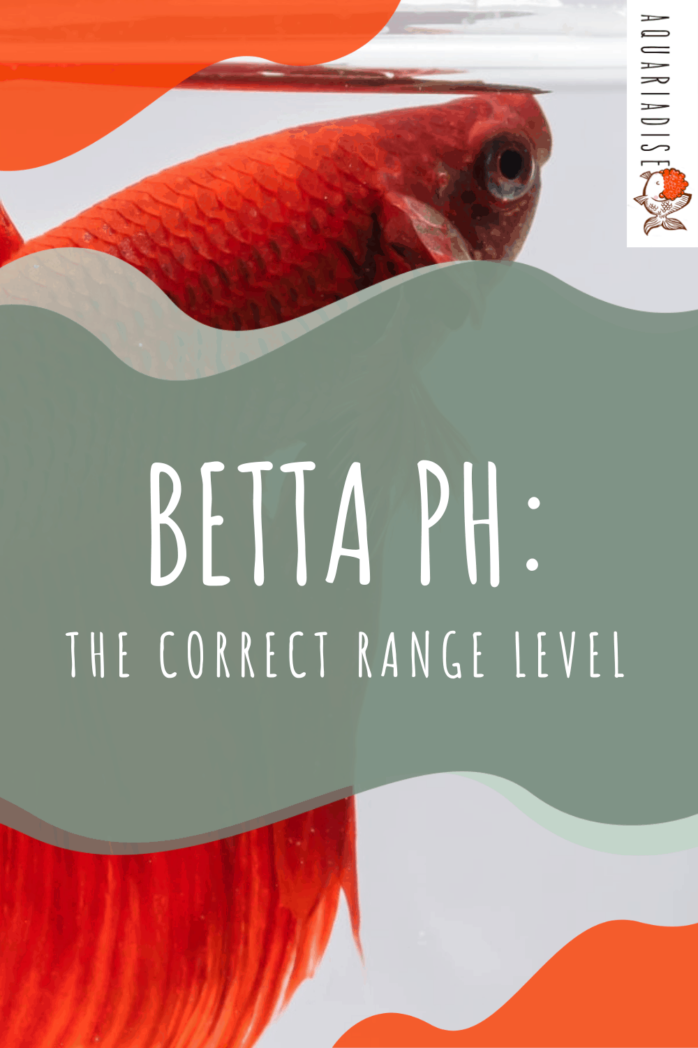 Betta pH The Correct Range Level Betta Source