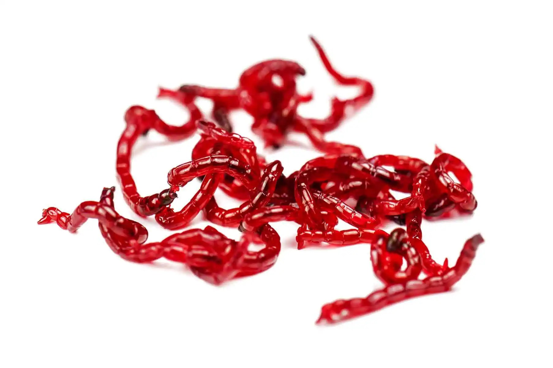 Bloodworms For Betta Fish The Best Aquarium Snack Betta Source