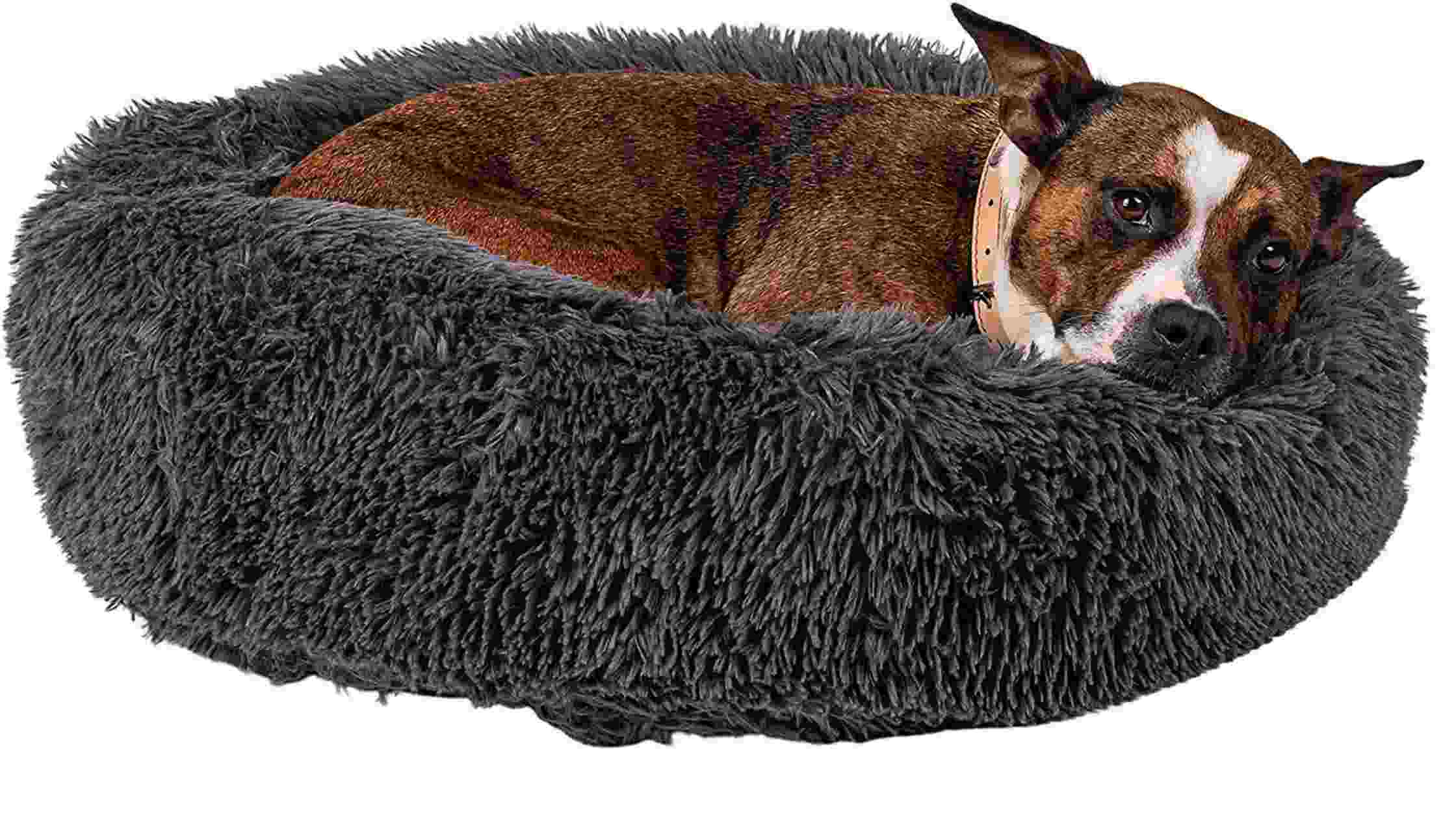 7 Best Dog Beds In Australia (Reviews & Buying Guide)
