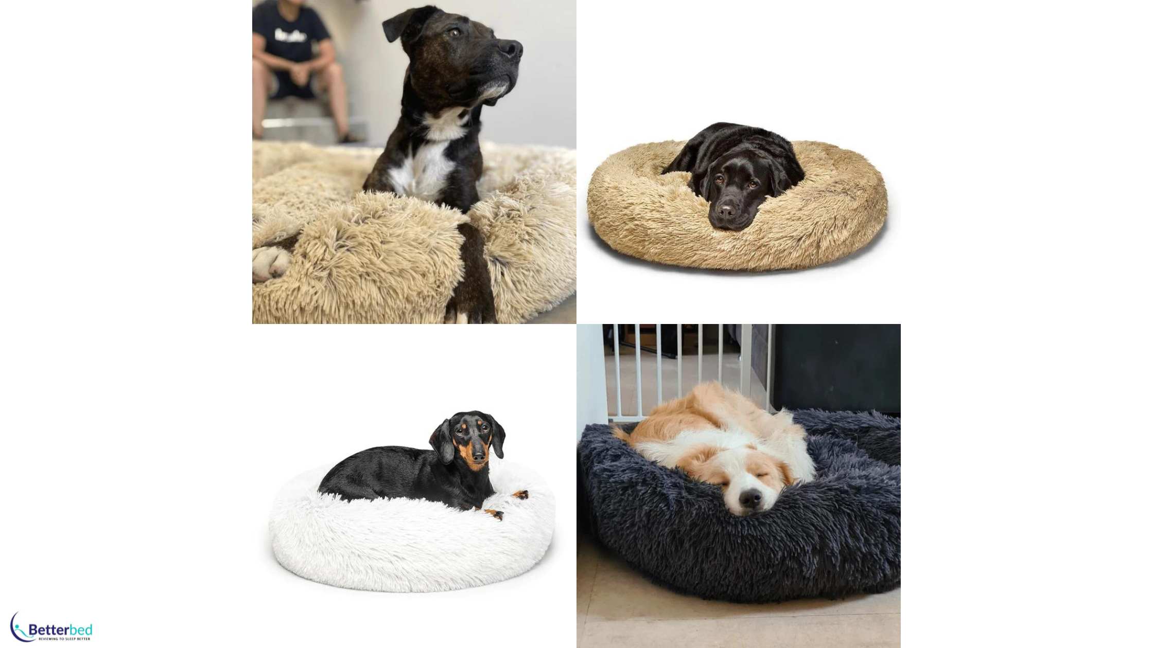 Best Dog Beds Australia Pet Parlour