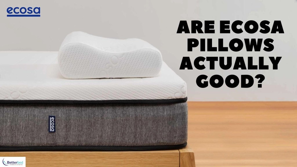 Ecosa Pillow Return Policy at Leticia Robertson blog