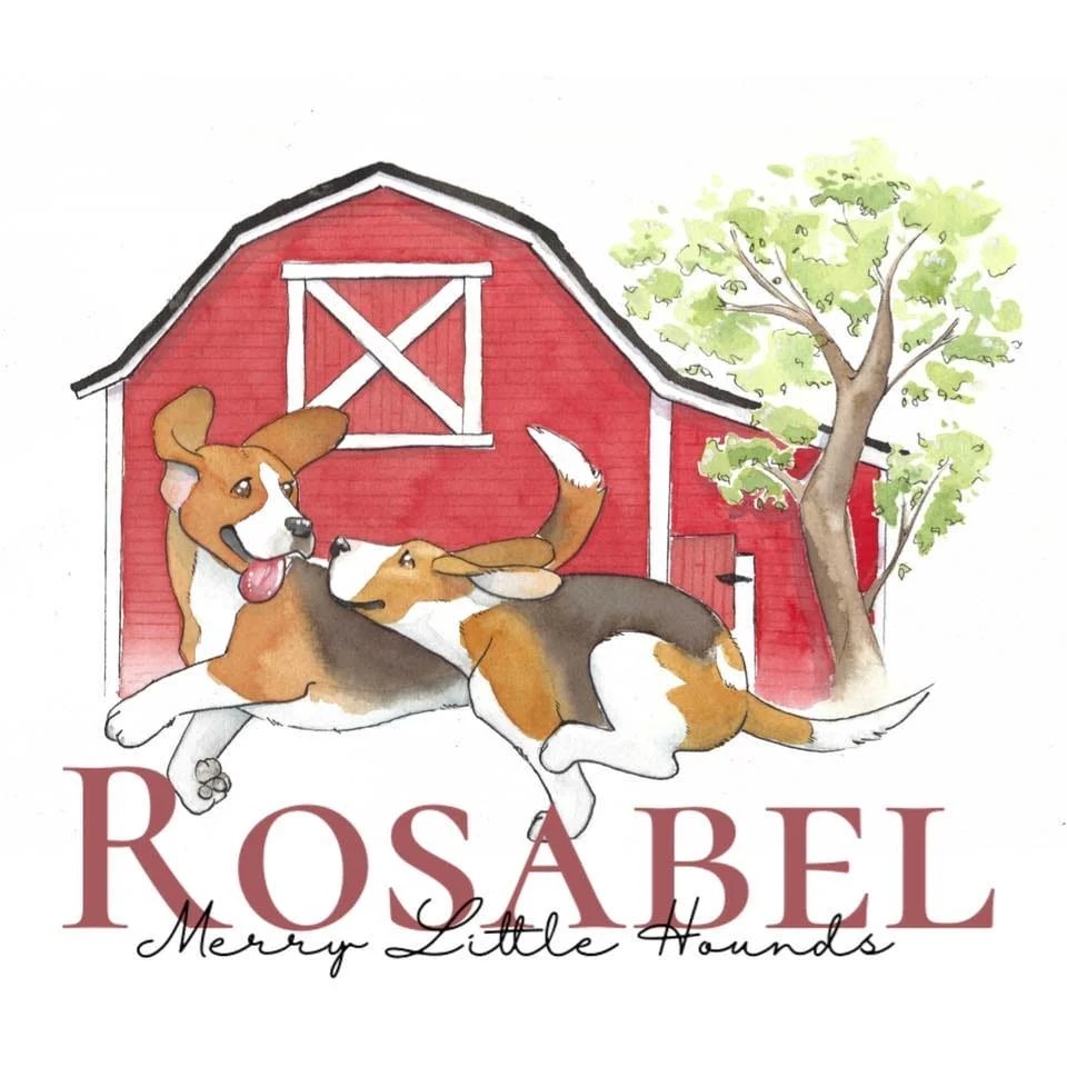 Rosabel Beagles Alberta Beagle Breeder