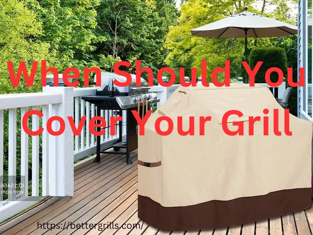 When Should I Cover My Grill? (All Pros And Cons)