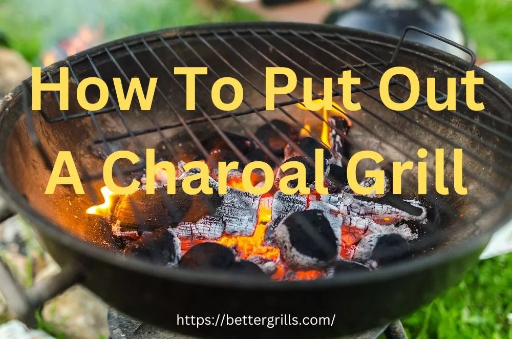How To Put Out A Charcoal Fire After Cooking Quickly