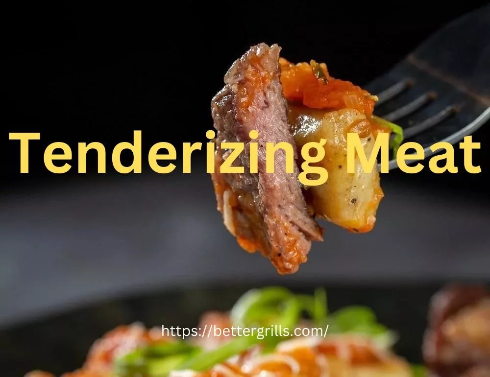 Tenderizing Meat How To, What Is It and How Does It Work?