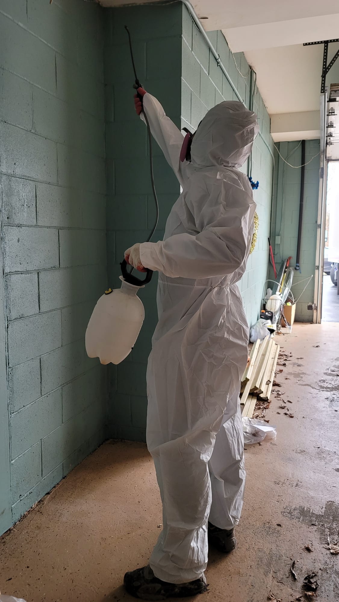 Sanitize and Disinfecting Better Home Insulation