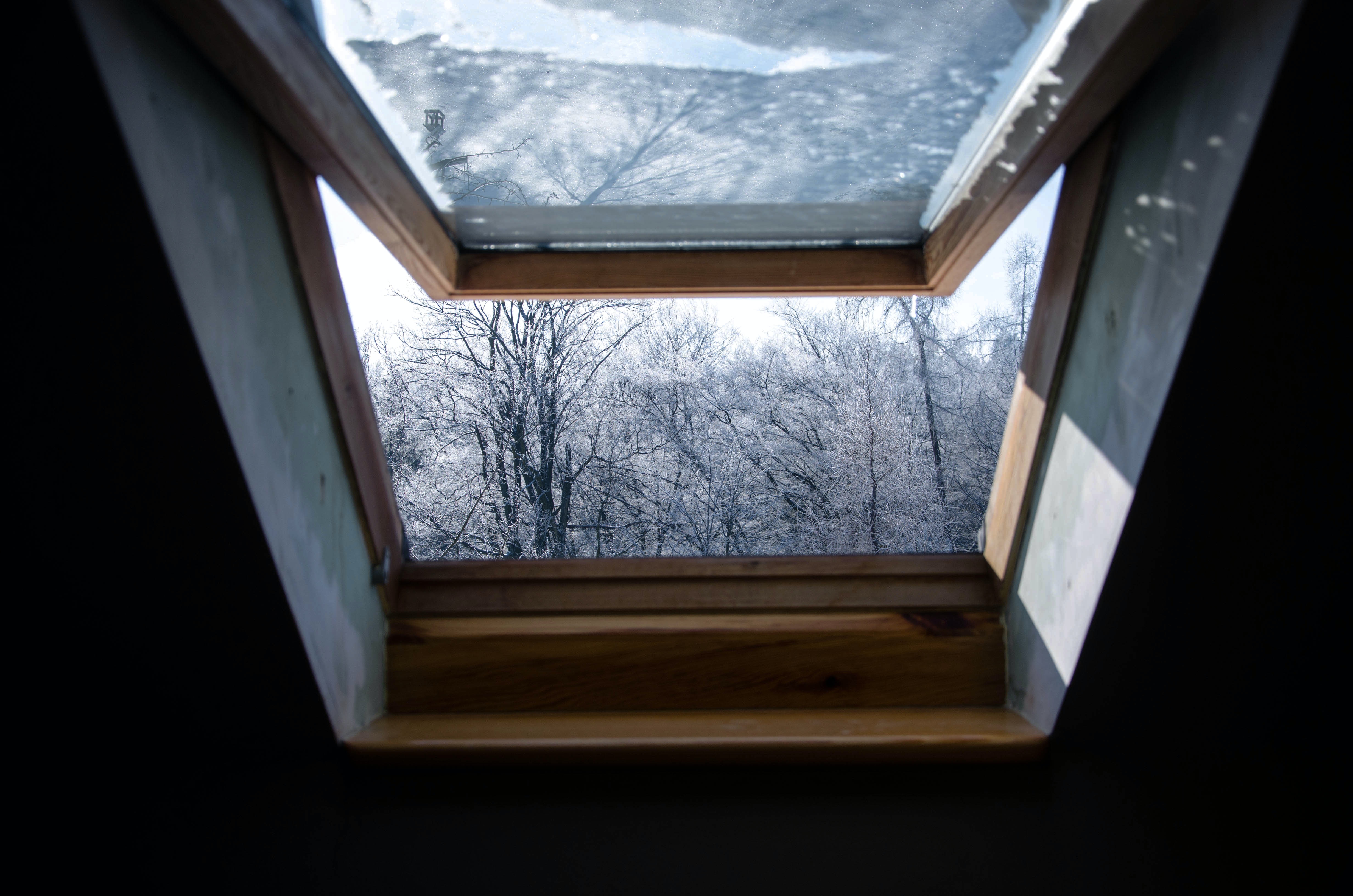 3 Signs You Have a Leaky Skylight and How to Fix It Better HouseKeeper