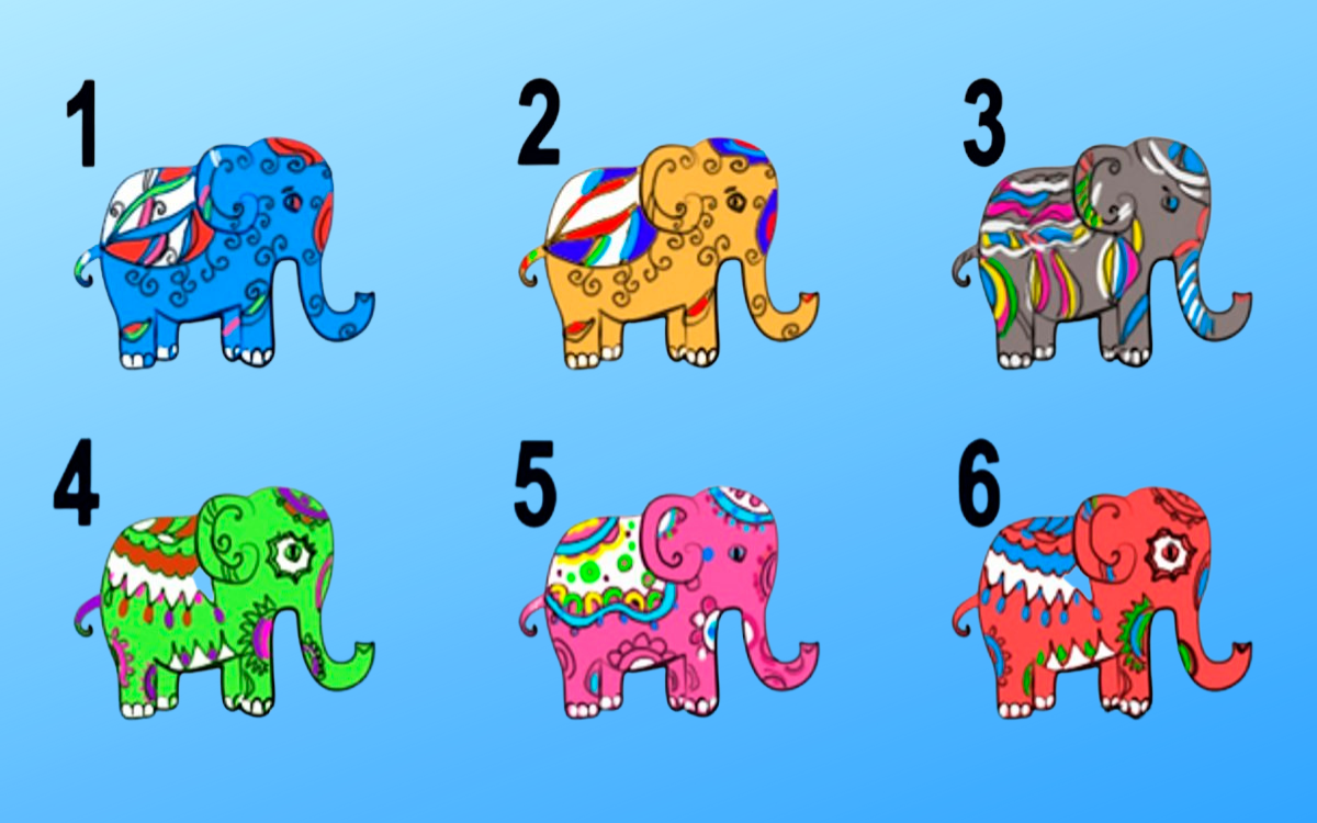 1 of These Elephants Will Show You the Traits of Your Hidden