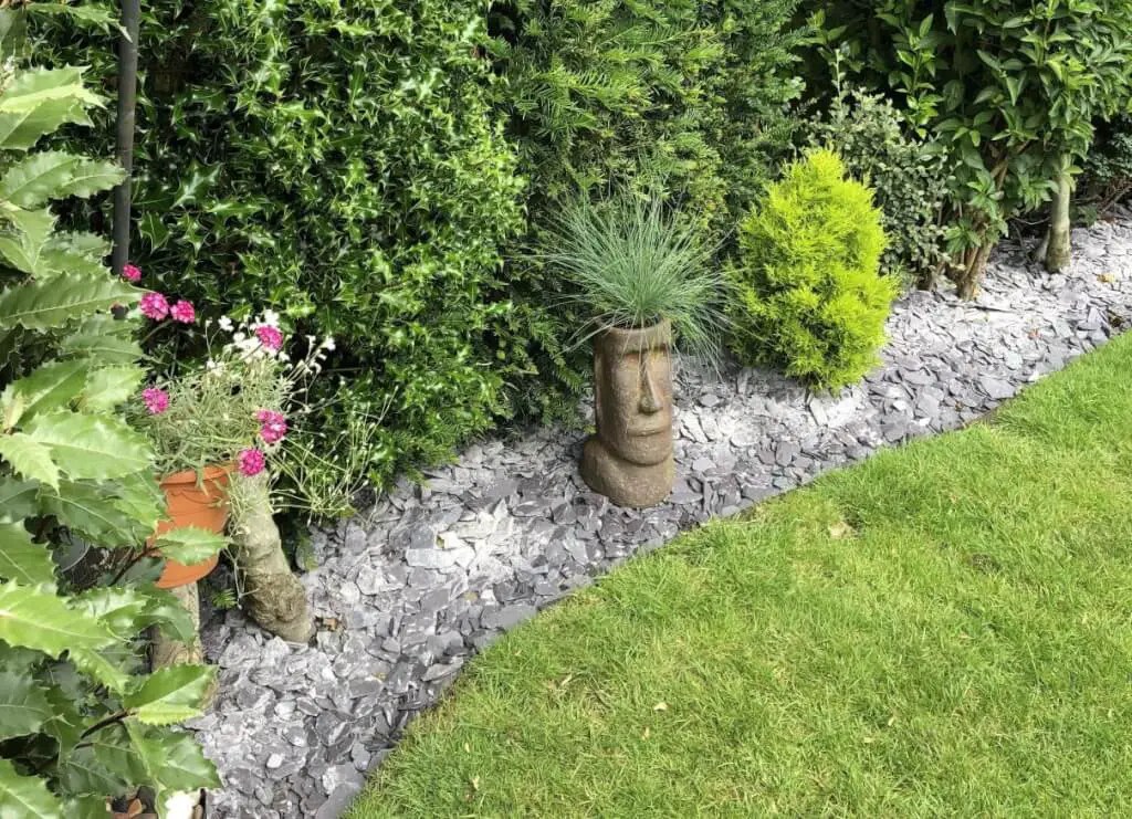 7 LowMaintenance Garden Border Plants & Ideas BetterLandscaping