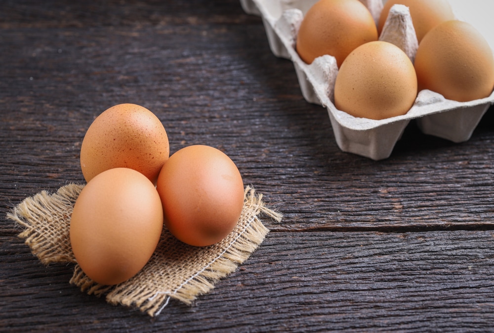 Craving Eggs Laying Out All The Whys