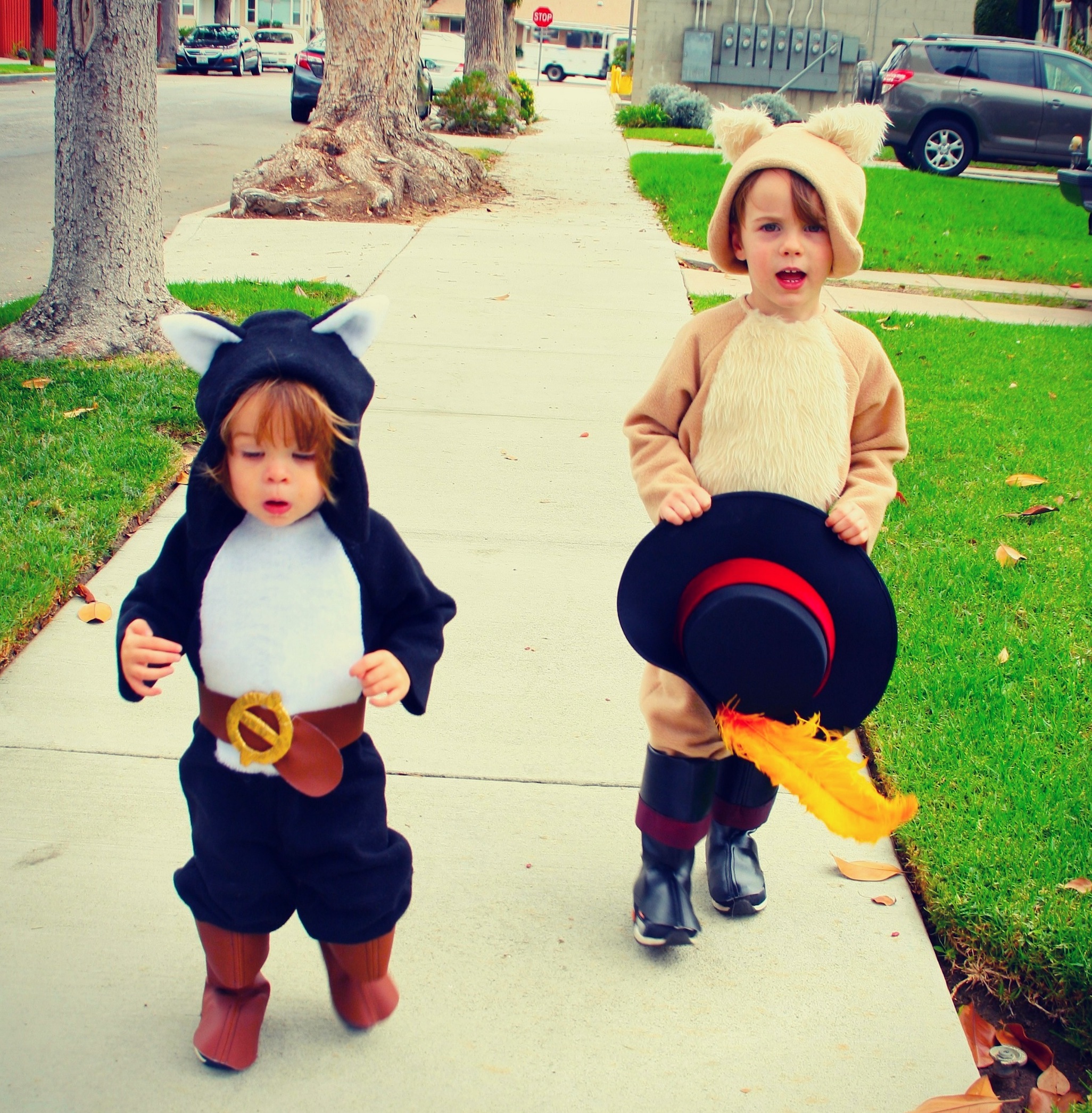 Halloween 2012 Puss in Boots & Kitty Softpaws