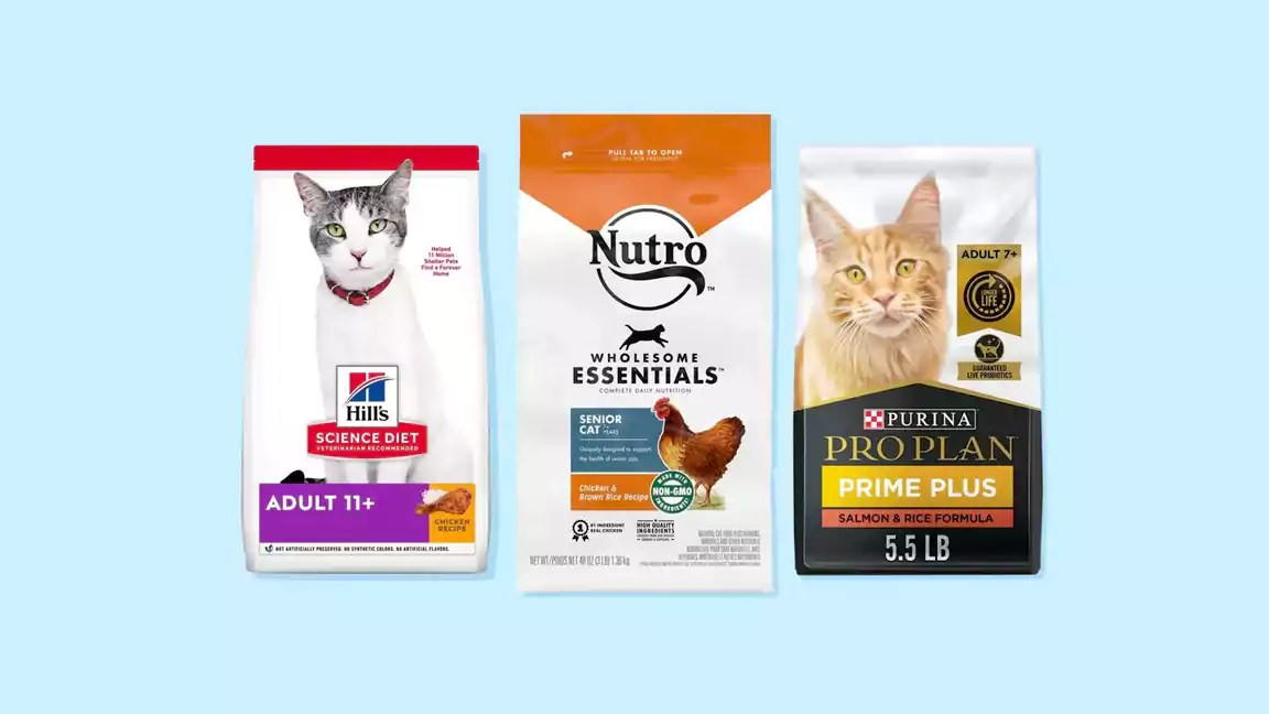 Can Cats Eat Human Food? A Comprehensive List of Safe Options