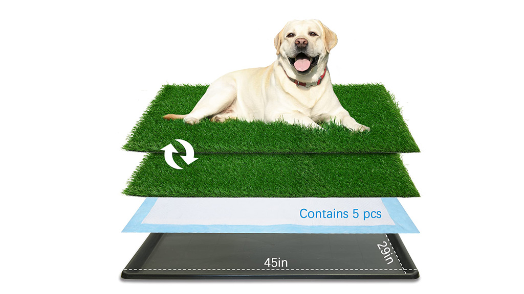 The Most Effective Best Dog Pee Pads for a Squeaky Clean House