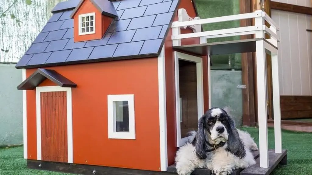 How to Make a Dog House Warm in the Winter