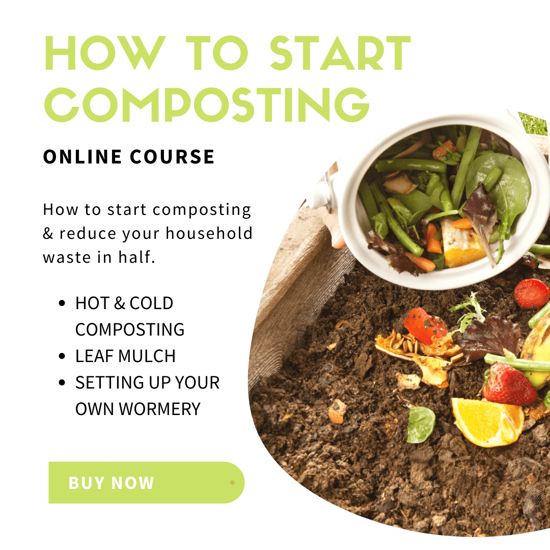 How To Start Composting And Reduce Your household waste In Half Better Plants