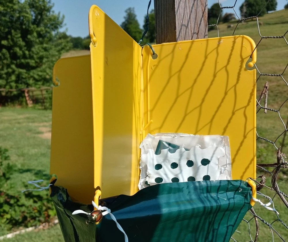 Japanese Beetle Trap Better Priced Online