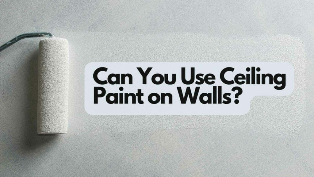 Can You Use Ceiling Paint On Walls? (Explained)