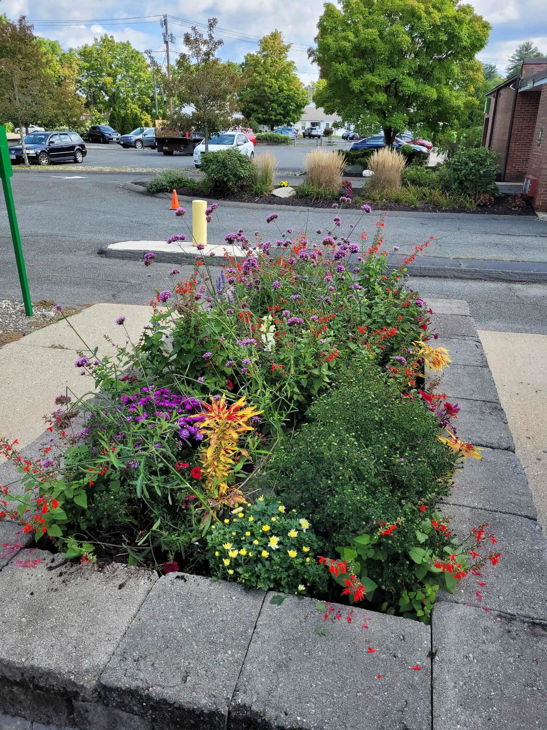 Leader Among Northampton, MA Commercial Landscaping Companies