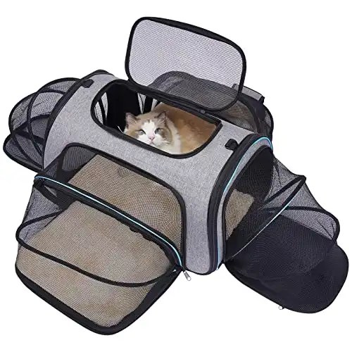 8 Best Cat Carriers For Car Travel (Travel Carrier Guide)