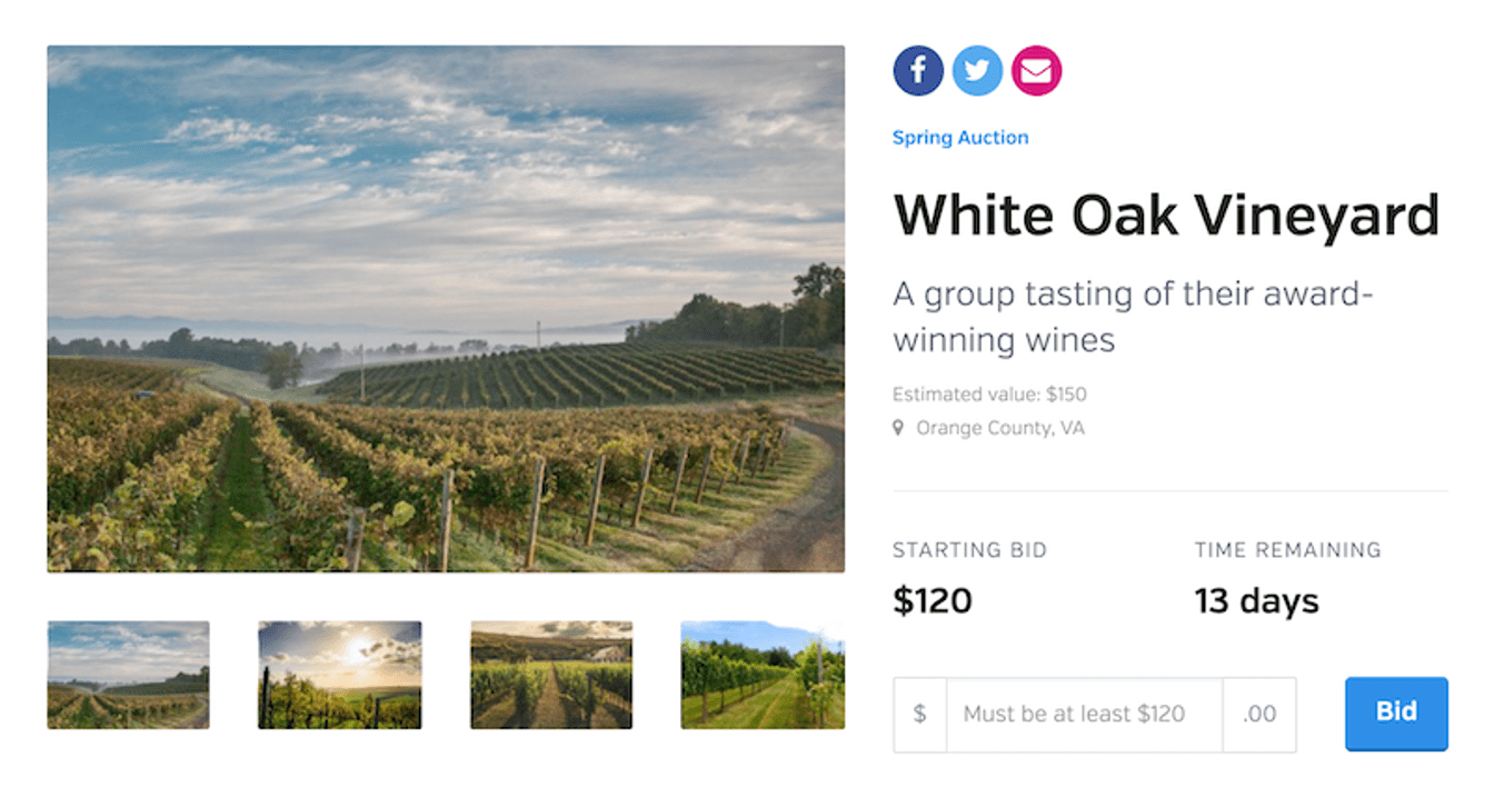 Free Online Auction Software for Nonprofits 2024