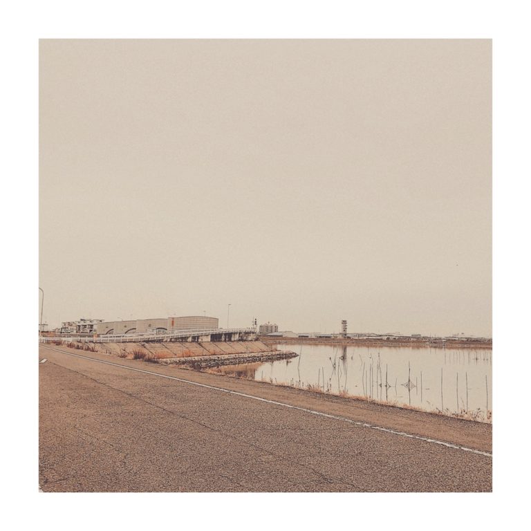 Lose One's Mind Betts(JP)