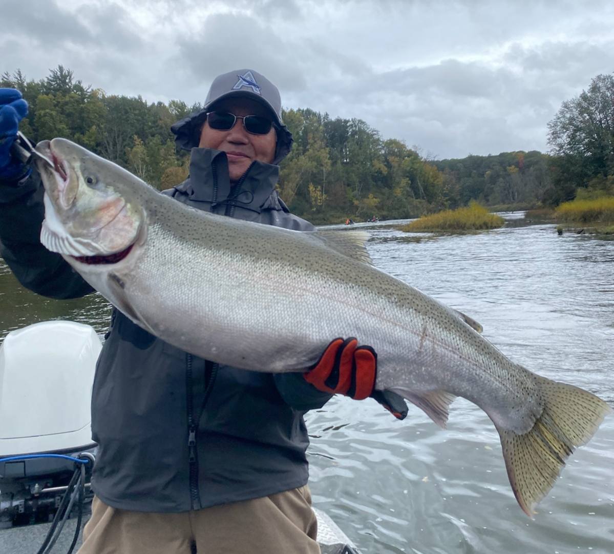 Michigan Weekly DNR Salmon Fishing Report Manistee River Tippy Dam