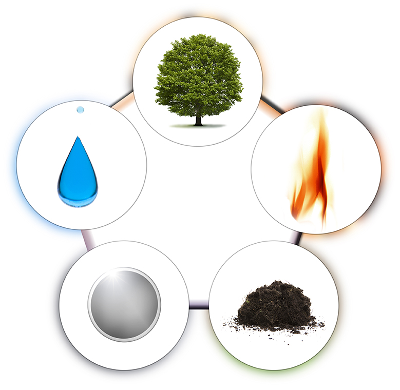 Theory of Five Elements Betty's Acupuncture